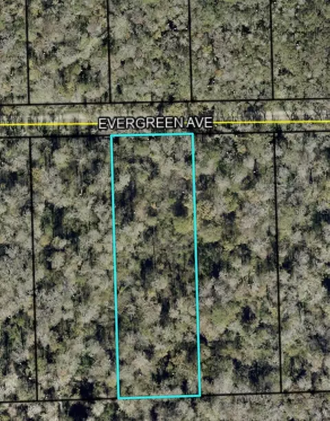 3741 Evergreen Ave, Bunnell, FL 32110