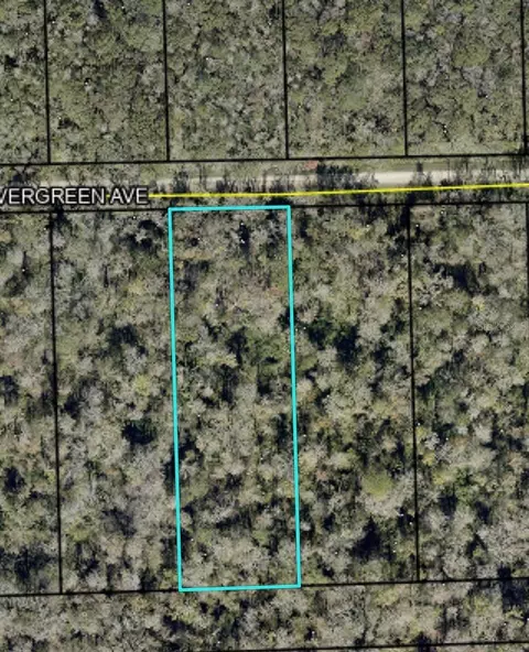 3655 Evergreen Ave, Bunnell, FL 32110