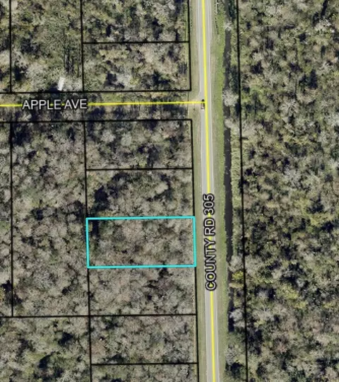 2166 Cr-305, Bunnell, FL 32110