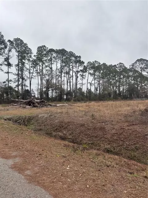 9600 Light Ave, Hastings, FL 32145