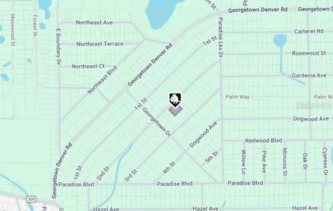 207 SE 2nd St, Georgetown, FL 32139 photo 4