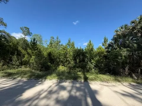 County Road 75, Bunnell, FL 32110 photo 8