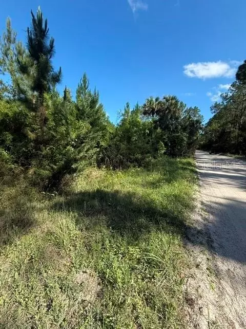 County Road 75, Bunnell, FL 32110 photo 5