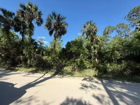 County Road 75, Bunnell, FL 32110 photo 2