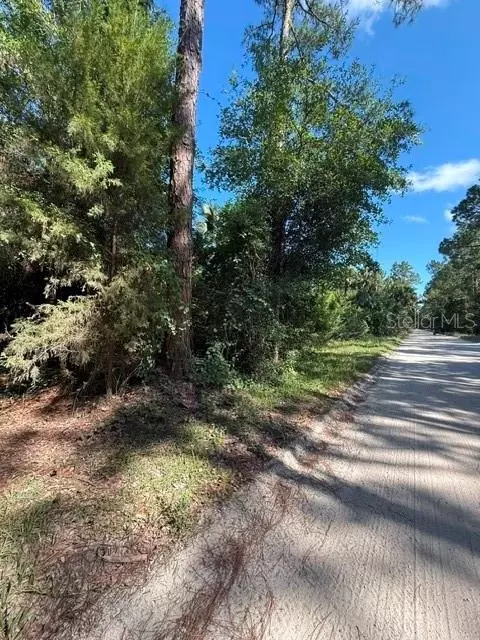County Road 75, Bunnell, FL 32110 photo 7