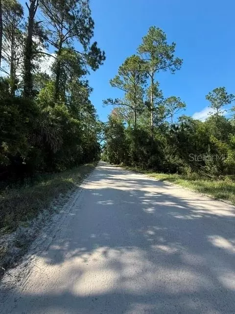County Road 75, Bunnell, FL 32110 photo 9