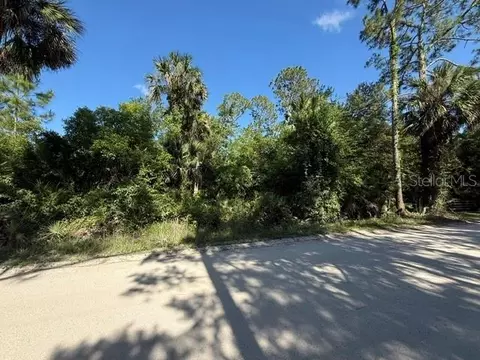 County Road 75, Bunnell, FL 32110 photo 3