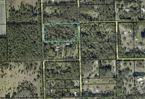 County Road 75, Bunnell, FL 32110 photo 10