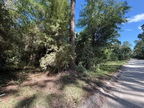 County Road 75, Bunnell, FL 32110 photo 6