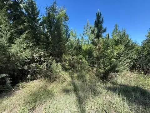County Road 75, Bunnell, FL 32110 photo 4