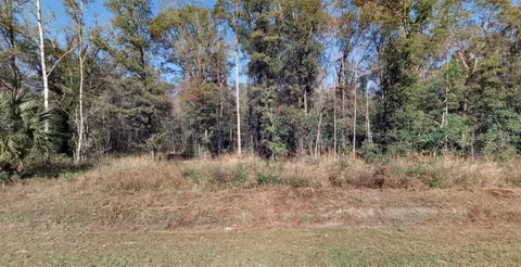 4720 Jonathan St, Hastings, FL 32145
