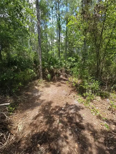1411 Elder St, Bunnell, FL 32110 photo 6