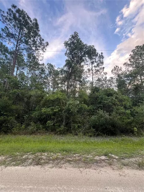 1411 Elder St, Bunnell, FL 32110