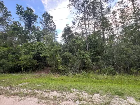 1411 Elder St, Bunnell, FL 32110 photo 4