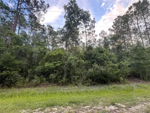 1411 Elder St, Bunnell, FL 32110 photo 2