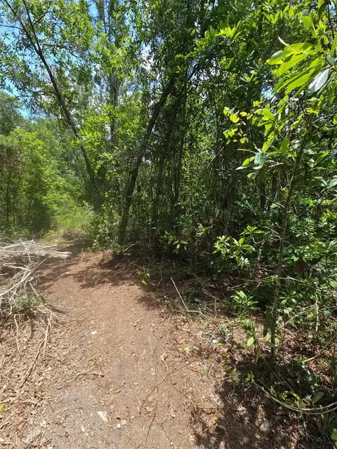1411 Elder St, Bunnell, FL 32110 photo 8
