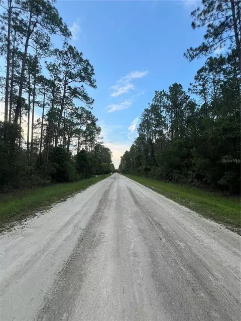 1411 Elder St, Bunnell, FL 32110 photo 5