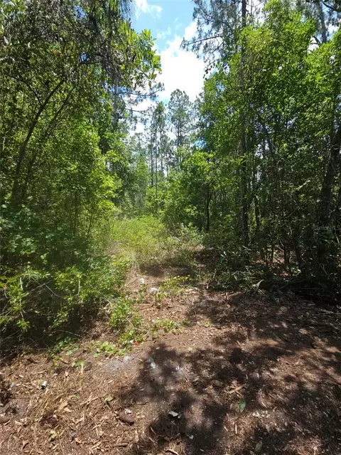 1411 Elder St, Bunnell, FL 32110 photo 7