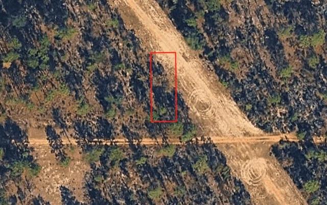 Nn Birch Ave, Interlachen, FL 32148