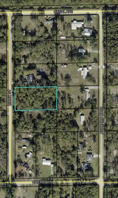 1115 Birch St, Bunnell, FL 32110 photo 2