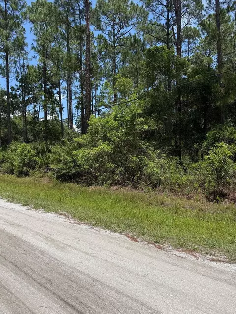 1115 Birch St, Bunnell, FL 32110 photo 3
