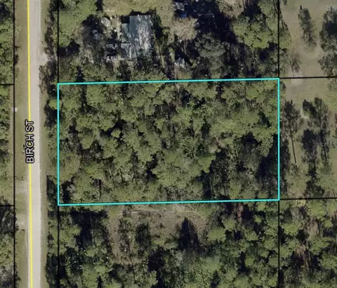 1115 Birch St, Bunnell, FL 32110 photo 1