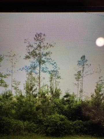 County Road 305, Bunnell, FL 32110