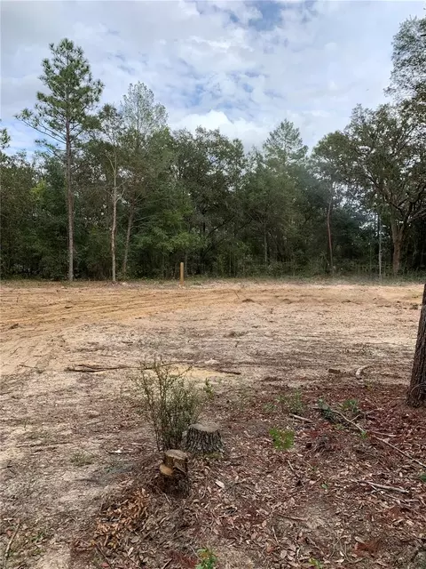 132 SW 52nd Ave, Interlachen, FL 32148 photo 8