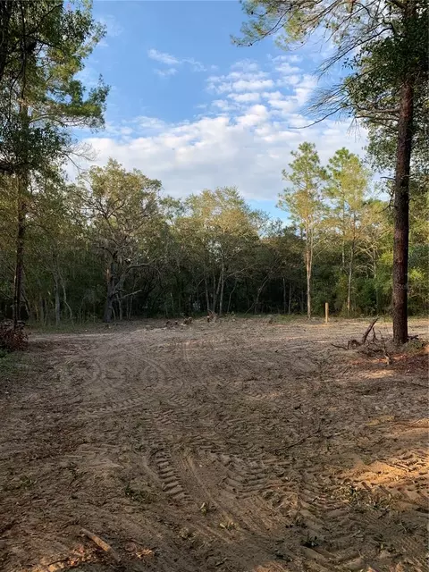 132 SW 52nd Ave, Interlachen, FL 32148 photo 7