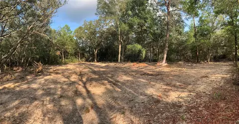 132 SW 52nd Ave, Interlachen, FL 32148 photo 5