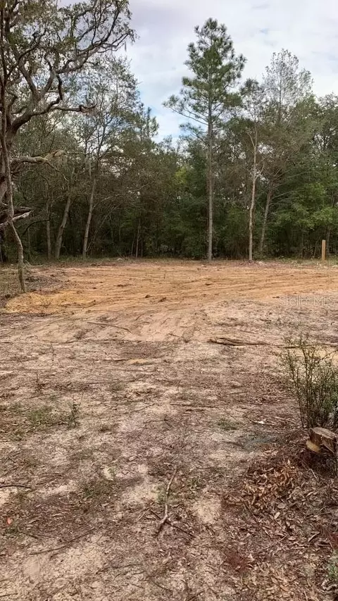 132 SW 52nd Ave, Interlachen, FL 32148 photo 9