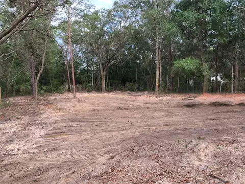 132 SW 52nd Ave, Interlachen, FL 32148 photo 4