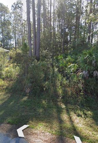 31 Red Clover Ln, Palm Coast, FL 32164