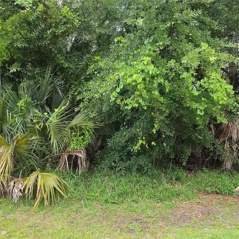19 Wasserman Dr, Palm Coast, FL 32164