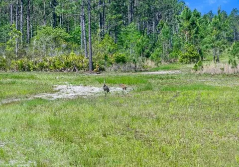 0 Carter St, Bunnell, FL 32110 photo 5