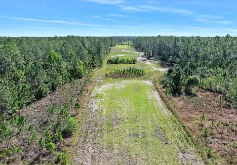 0 Carter St, Bunnell, FL 32110 photo 6