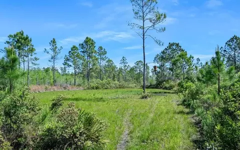 0 Carter St, Bunnell, FL 32110 photo 15