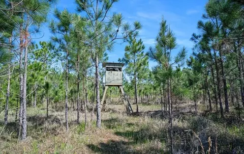 0 Carter St, Bunnell, FL 32110 photo 12