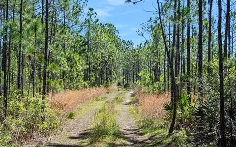 0 Carter St, Bunnell, FL 32110 photo 18