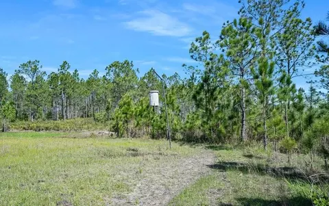0 Carter St, Bunnell, FL 32110 photo 13
