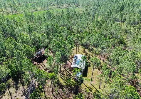 0 Carter St, Bunnell, FL 32110 photo 9