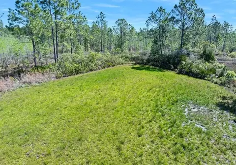 0 Carter St, Bunnell, FL 32110 photo 8