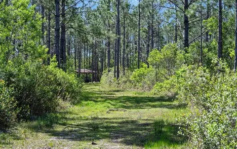 0 Carter St, Bunnell, FL 32110 photo 16