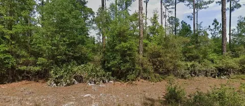 148 Arden St, Georgetown, FL 32139 photo 2
