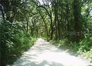 148 Arden St, Georgetown, FL 32139 photo 5
