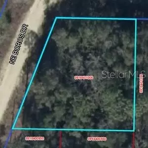 0 NE 11th St, Williston, FL 32696 photo 2