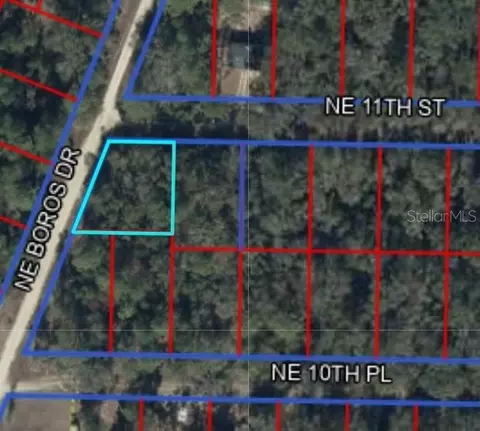 0 NE 11th St, Williston, FL 32696 photo 3
