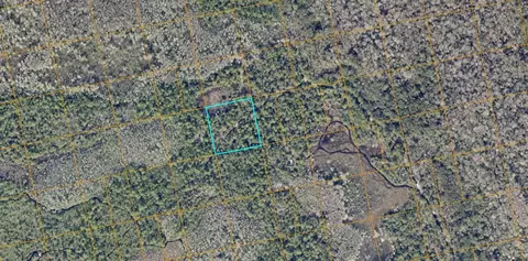 No Street, Oak Hill, FL 32759