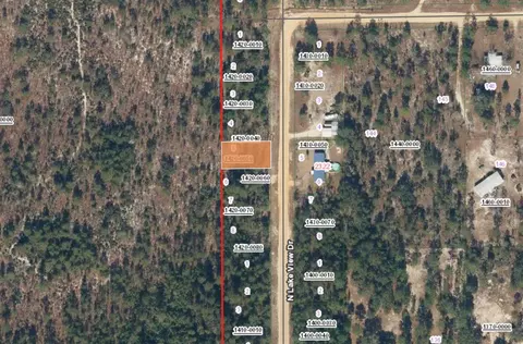 142 Lake View Drive, Interlachen, FL 32148 photo 2
