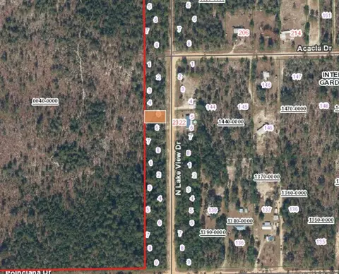 142 Lake View Drive, Interlachen, FL 32148 photo 3
